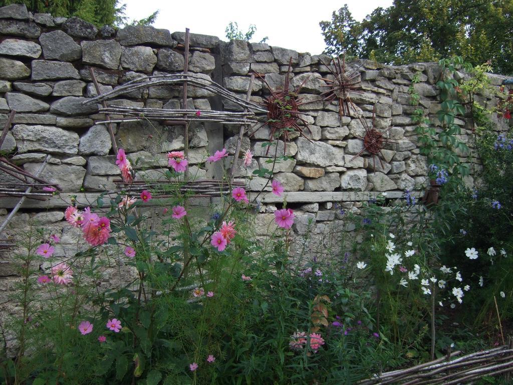 Le Vieux Velo Bed & Breakfast Chaptuzat Bagian luar foto